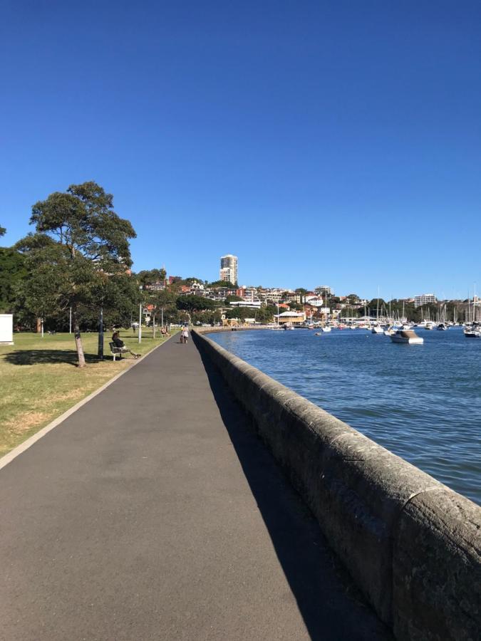 Edgecliff Lodge Motel Sydney Eksteriør bilde